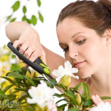 Gardening : Lucie