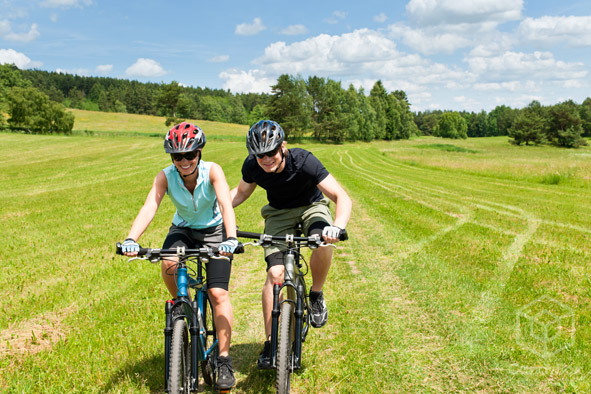 Sportive Sunny Day