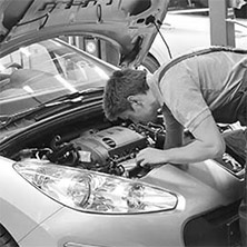Car dealer
