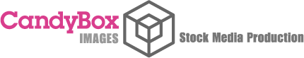 TheStyle Logo